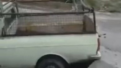 _فرونشستی_ _در_ _کار_ _نبود_؛ _کشف_ _غار_ _تاریخی_ _در_ _شیراز_ _تکذیب_ _شد_