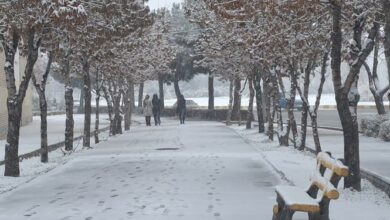 فعالیت ادارات دولتی و دانشگاههای مشهد با ۲ ساعت تاخیر