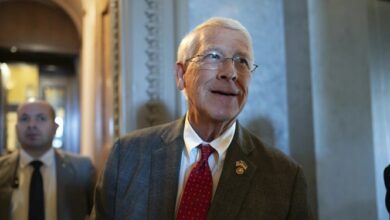 قانونگذاران جمهوریخواه حملات آمریکا را ناکافی خواندند