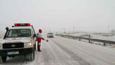 مرزیترین شهرستان خراسان رضوی سفید پوش شد/ شادمانی مردم تایباد از بارش برف + فیلم