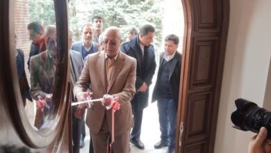 نخستین دانشگاه بینالمللی D8 در همدان افتتاح شد