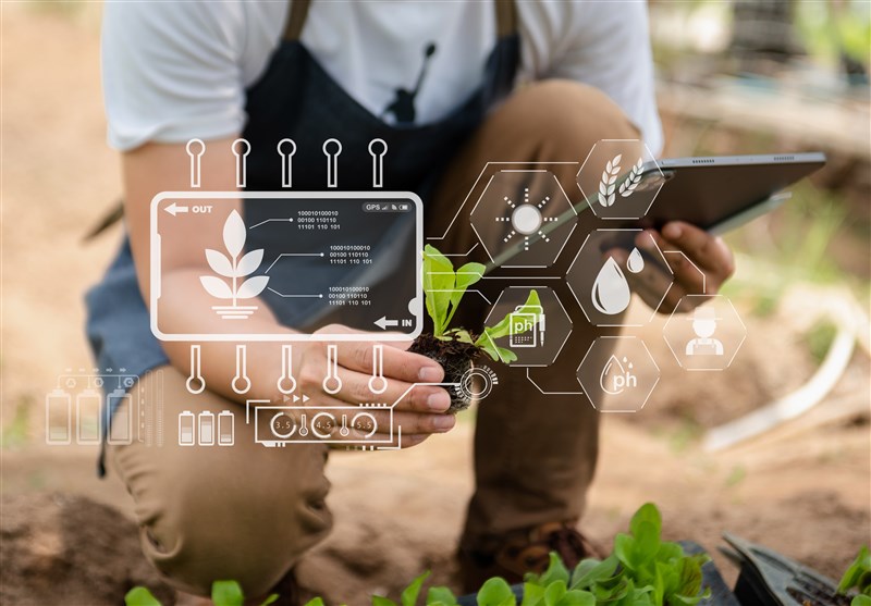 نمایی از “آیندۀ جهان” با هوش مصنوعی / «کشاورزی آینده» در تسنیم کلید خورد