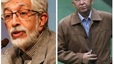 نوباوه: ما صلاح میدانیم حتی پاجوش این درختان نباشیم