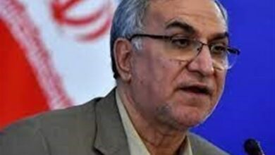 وزیر بهداشت: از کشورهای بسیاری پذیرش بیمار داریم/ تمام رشتههای پزشکی در ایران فعال است