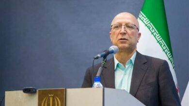 وزیر علوم: مهاجرت معکوس نخبگانی ماحصل افزایش کیفیت دانشگاههاست