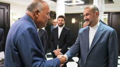 گفتوگوی تلفنی وزرای خارجه ایران و مصر