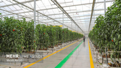 گلخانهها سهم زیادی در هدر رفت انرژی دارند