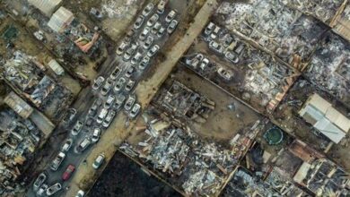 ۵۱ کشته بر اثر آتش سوزی در جنگلهای مرکزی شیلی/ خطر سرایت آتش به مناطق شهری