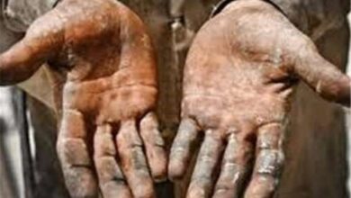 1500 پرونده مشاغل سخت در سیستان و بلوچستان تایید شد