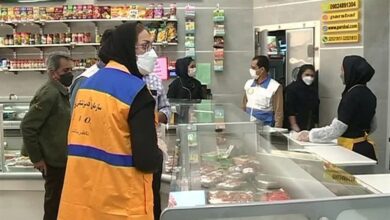 41 گروه بر سلامت فرآوردههای خام دامی خراسان جنوبی نظارت دارند