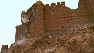 آثار باستانی سرقترفته از سوریه در اسرائیل به نمایش گذاشته میشوند+ عکس