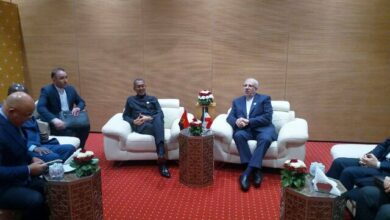 آمادگی ایران برای صادرات خدمات فنیومهندسی به آنگولا