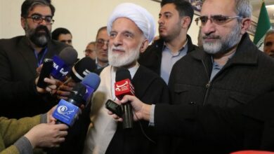 آیتالله درینجفآبادی: حضور مردم نشان داد که انقلاب اسلامی بعد از 45 سال زنده است