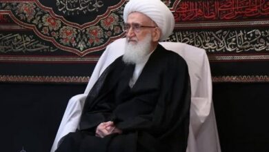 آیتالله نوری همدانی جنایت بیمارستان غزه را محکوم کرد