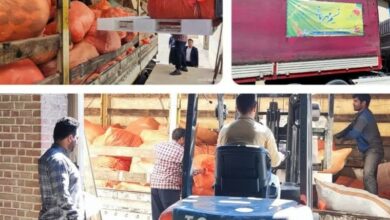 ارسال هدیه به دانشآموزان مناطق محروم استان بوشهر به ارزش بیش از 43 میلیارد ریال