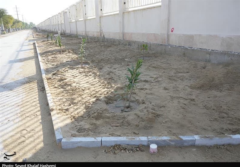 افتتاح طرحهای عمران شهری و سرمایهای بوشهر با سرمایهگذاری 600 میلیارد تومان + تصویر