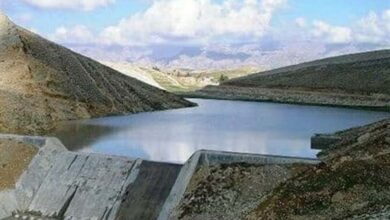 اقدامات آبخیزداری تنها در 17 درصد حوزههای آبخیز استان کرمان انجام شده است