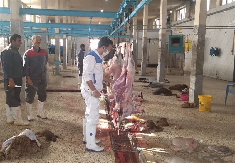 انجام 4000 بازدید و پلمب 5 مرکز متخلف در خراسان رضوی