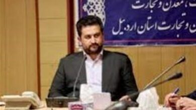 ایمیدرو از فعالیتهای معدنی اردبیل کنار گذاشته شد