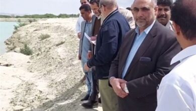 بازدید میدانی وزیر جهاد کشاورزی از مناطق سیلزده بلوچستان/ دستور وزیر برای احداث آببندان + فیلم