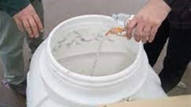 برپایی 13 ایستگاه برای جمعآوری ماهی قرمز در اردبیل