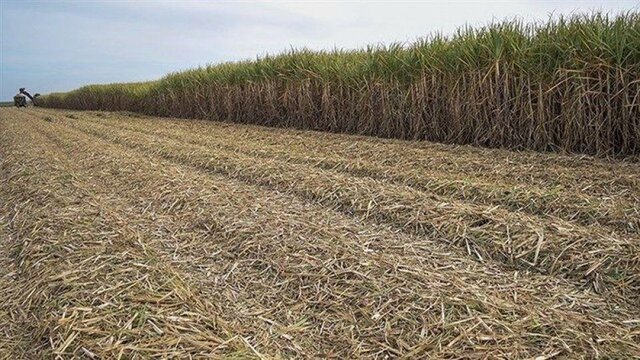 بهبود ۴۰ درصدی در پردازش تصاویر و شناسایی تخلفات حوزه زمین