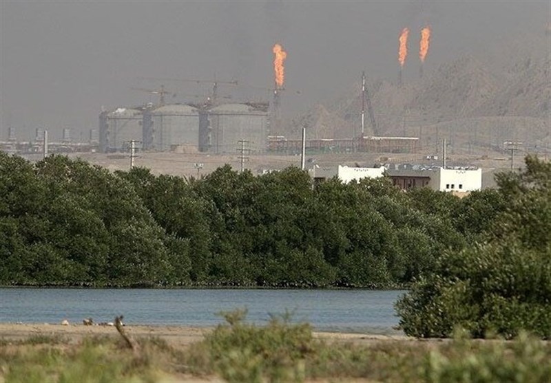 تخصیص 30 میلیارد تومان برای درختکاری و توسعه فضای سبز منطقه پارس جنوبی