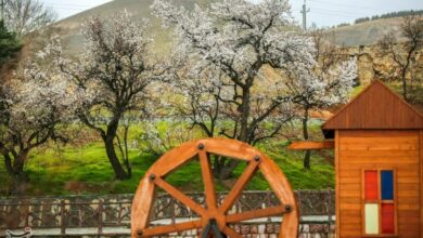 تور رایگان سنندجگردی ویژه مسافران نوروزی