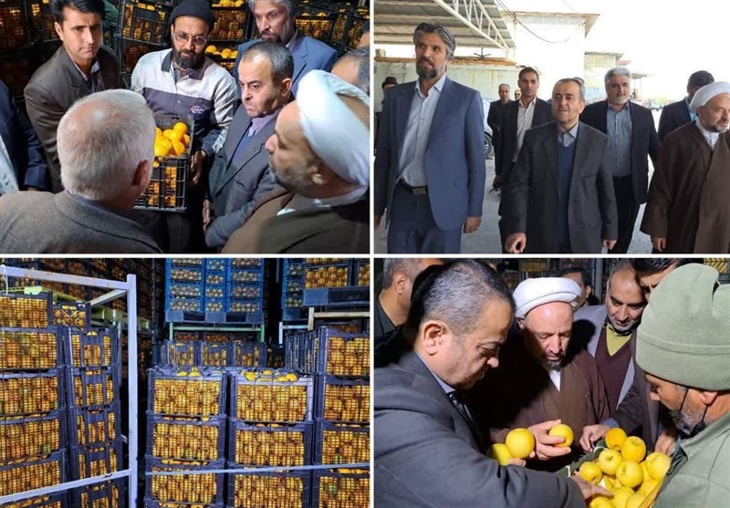 توزیع میوه شب عید از 28 اسفند در سطح استان خراسان جنوبی