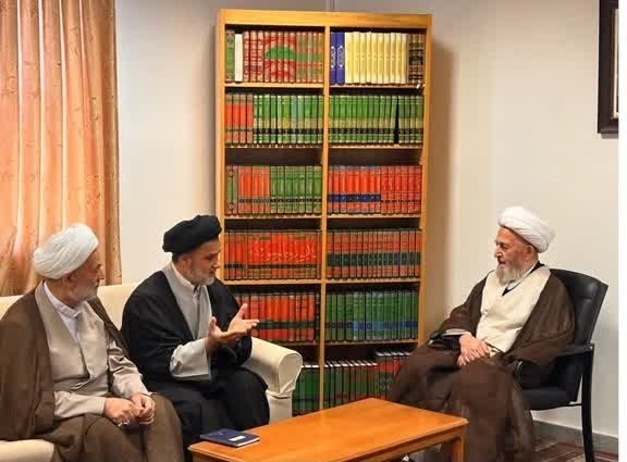 توصیه آیتالله سبحانی به نمایندگان منتخب مجلس