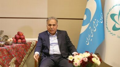 تولید 2 تن کیک زرد به روش هیپلیچینگ در سال گذشته