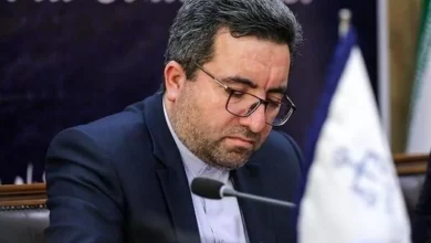 حدنگاری و صدور اسناد ۸۸ درصد از عرصههای کشور در سال ۱۴۰۲ انجام شد