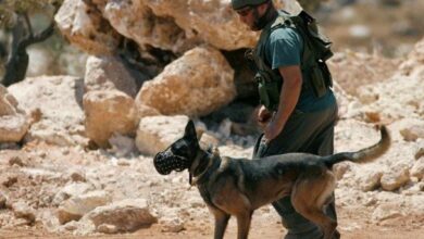 حمله وحشیانه صهیونیستها به نمازگزاران فلسطینی در قدس اشغالی+فیلم