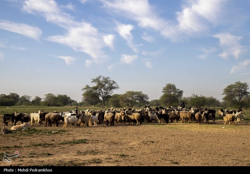 خسارت سیلاب به جادههای عشایری گچساران