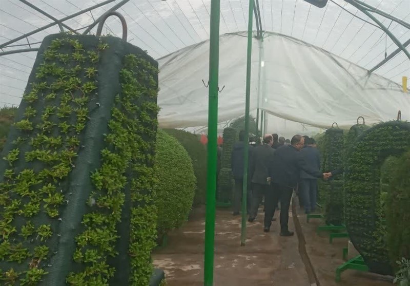 در آستانه بهار 1403 مشهد زیباتر میشود