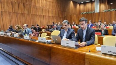 درخواست ایران از سازمان بینالمللی کار برای رسیدگی به کارگران فلسطینی