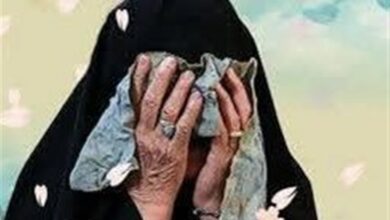 روایت مادر شهید کاویانی از شهادت فرزند 15 سالهاش/ گفتوگو با بهشتیان روی زمین + فیلم