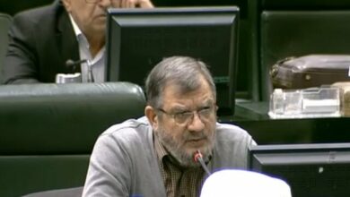 روحالامینی: موانع واردات خودرو رفع شود