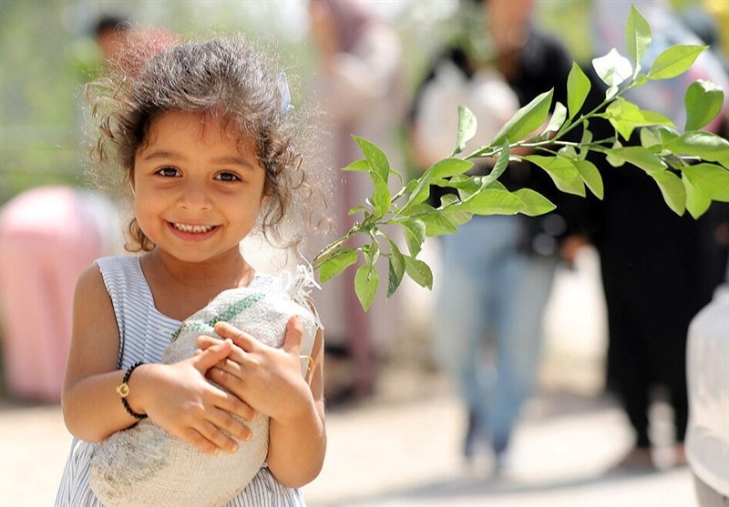 سرانه فضای سبز در کیش 7.5 برابر سرانه کشوری است