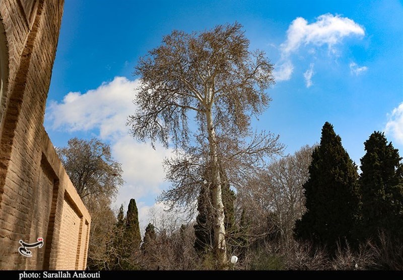 استان کرمان ,