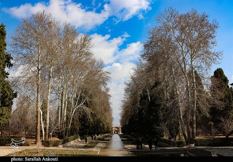 استان کرمان ,