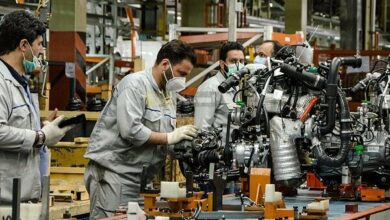 سهامدار کردن کارگران در سود کارخانهها