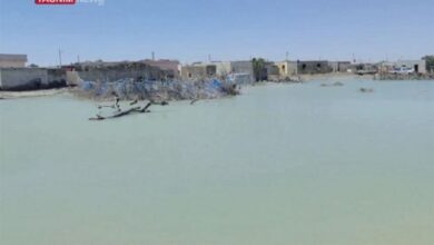 سپاه پای کار سیلزدگان بلوچستان/ فرمانده این بار به قصرقند رفت + فیلم