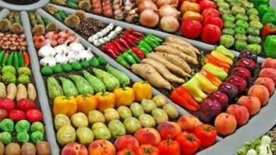 شروع توزیع میوه شب عید در چهارمحال و بختیاری + قیمت