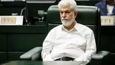 شهریاری: با دعوا کردن مشکلات کشور حل نمیشود