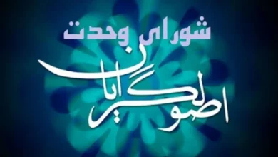 شورای وحدت در سه حوزه تصمیمسازی خواهد کرد