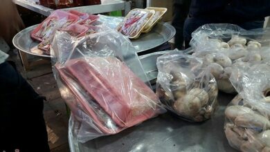 صادرات 4 میلیون انواع فرآوردههای خام دامی از لرستان