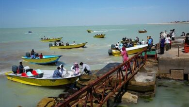 فعالیت 159 لنج و قایق در طرحهای گردشگری دریایی بوشهر