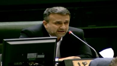 محمدیاری: وزیر اقتصاد به توقف پرداخت وامهای خرد ورود کند