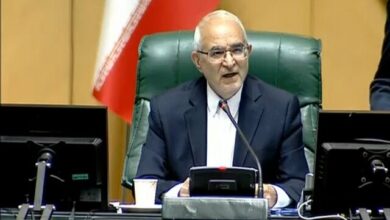 مصری: یا شاخصهای سازمان هدفمندی اصلاح شود یا اختیارت دستگاههای حمایتی افزایش یابد